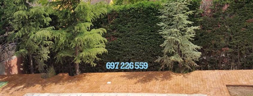 Hormigón impreso en Cobeña Madrid