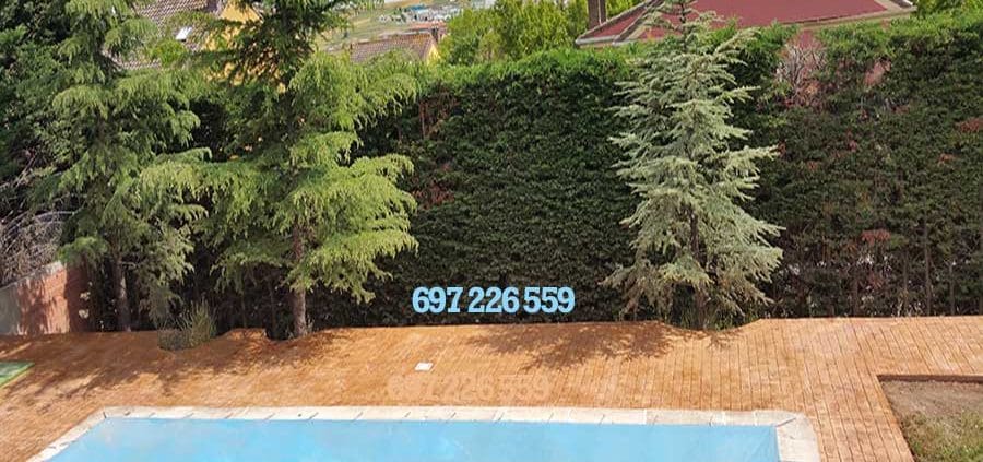 Hormigón impreso en Cobeña Madrid