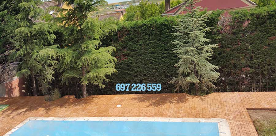 Hormigón impreso en Cobeña Madrid